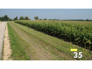Property photo 131 - Land Auction - 3,379 Acres in 48 Tracts, 2,900 Acres Tillable, Large Contiguous Tracts - Investment Potential